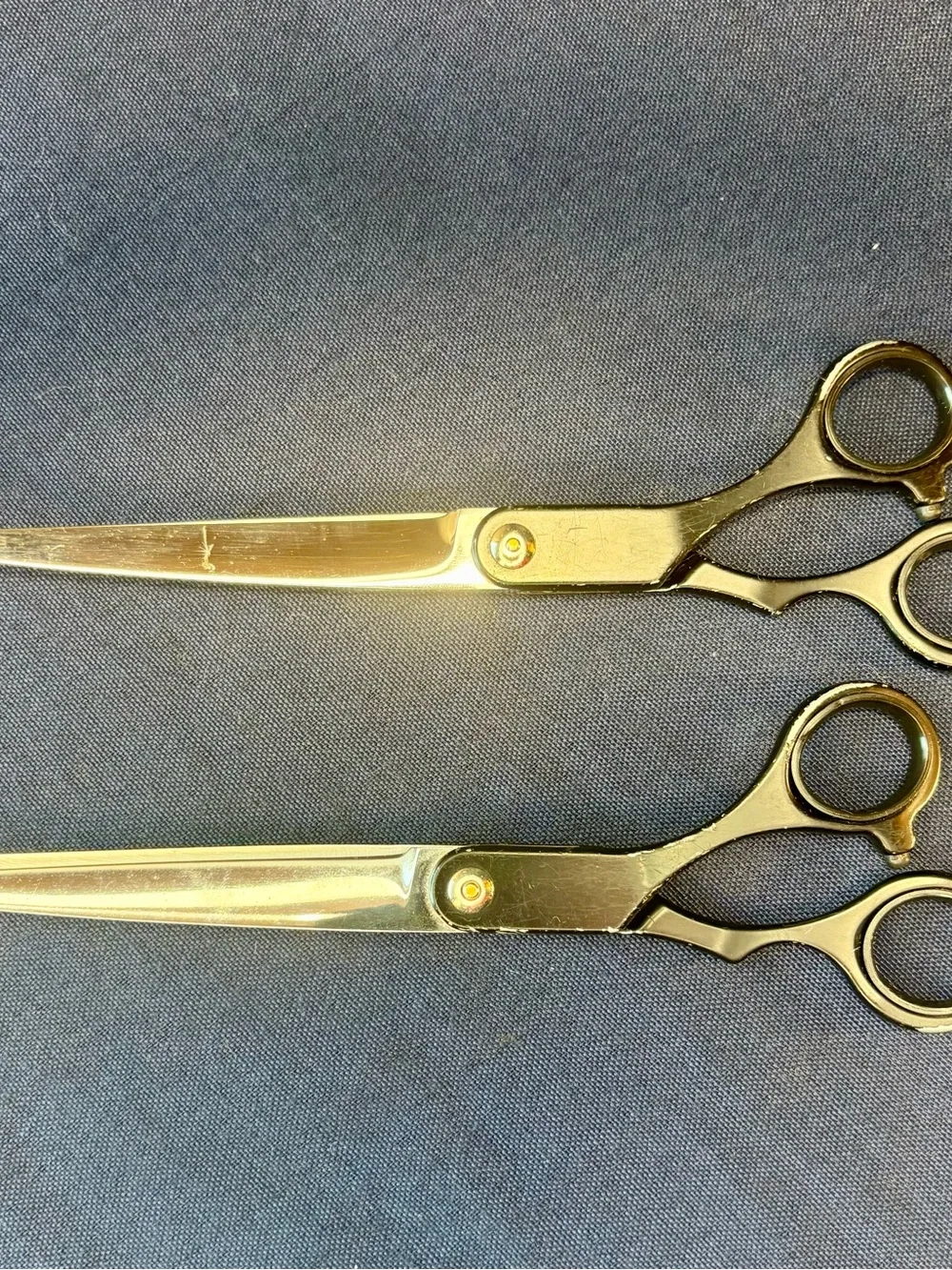 Andis & Kim Jong Yi Pet Grooming Shear Set